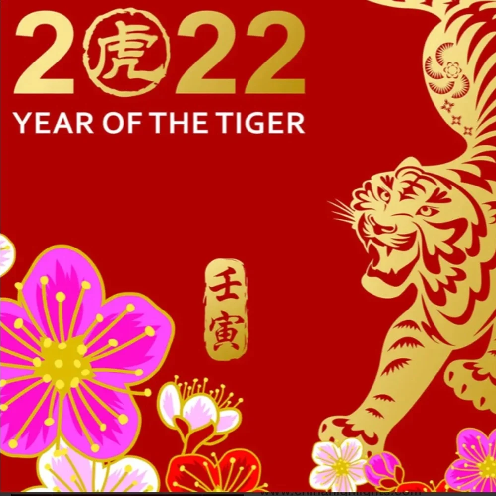 Tiger earrings!  2022 The Chinese Year of the Tiger. - Picture 4 of 6